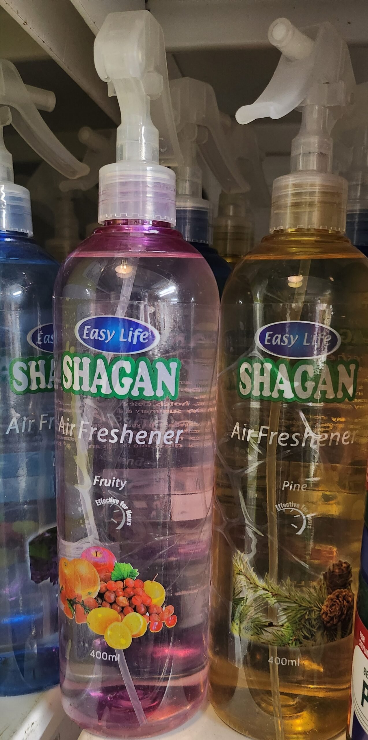 Shagan ጥዑም ጨና ናይ ገዛ፡መኪና